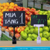 Kẹp nhựa wobbler V01
